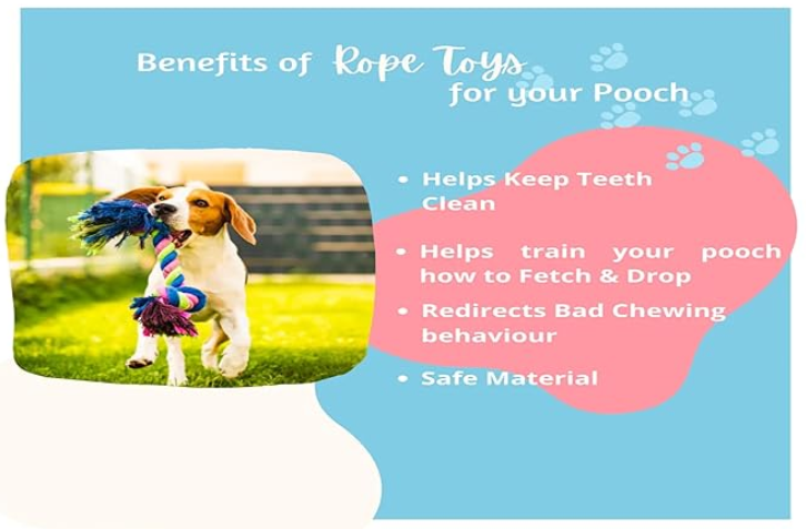 Agirav Tail Dog Toys + Dog Chew Toys + Rope Toys + Dog Toys for Small to Medium Dog + Tug Toy + Dog Toy Pack of 7
