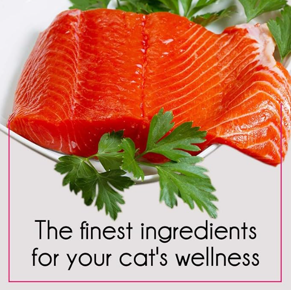 Purepet Dry Cat Adult Food Tuna and Salmon Flavour, 6 kg Pack