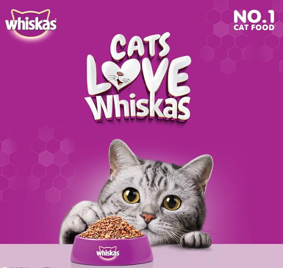 Whiskas Kitten (2-12 months) Dry Cat Food, Ocean Fish, 1.1kg Pack