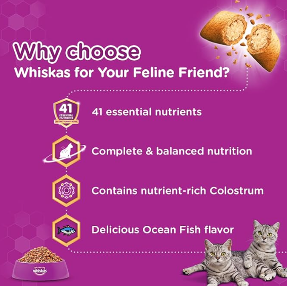 Whiskas Kitten (2-12 months) Dry Cat Food, Ocean Fish, 1.1kg Pack
