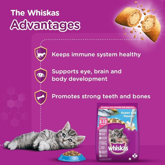 Whiskas Kitten (2-12 months) Dry Cat Food, Ocean Fish, 1.1kg Pack