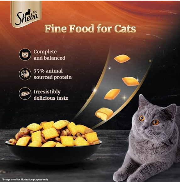 Sheba Kitten and Adult, Irresistible Dry Cat Food, Chicken Flavour, 1.5kg Pack