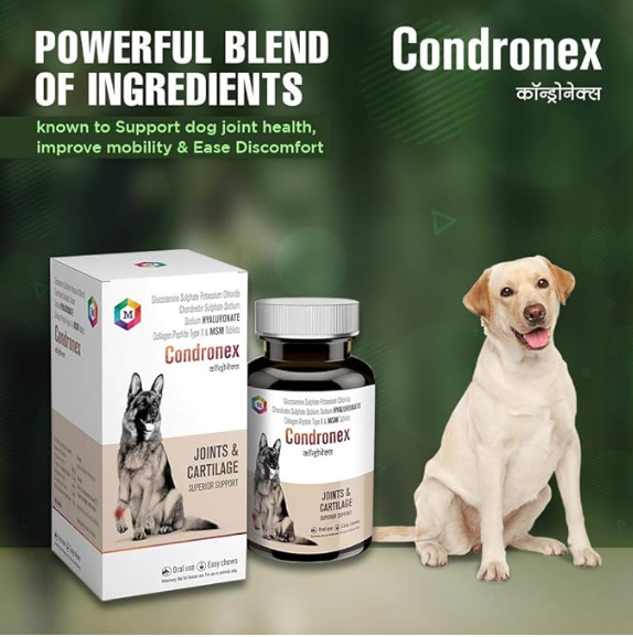 Medfly Healthcare Condronex Joint and Cartilage Supplement for Dogs and Cats (Pack of 30 Tablets)