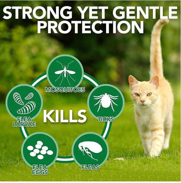Medfly Healthcare Parashield Plus Spot On Solution for Ticks and Fleas for Cat and Kittens (Pack of 1)