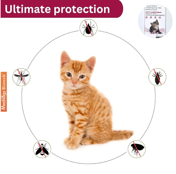 Kitty Karno's Flea and Tick Control: Powerful Cat Flea Killer - Effective Cat Flea Medicine for Kittens and Cats (8 weeks onwards), Effective Cat Spot On For Flea & Tick Prevention | Pack of 1 (.5 ml)