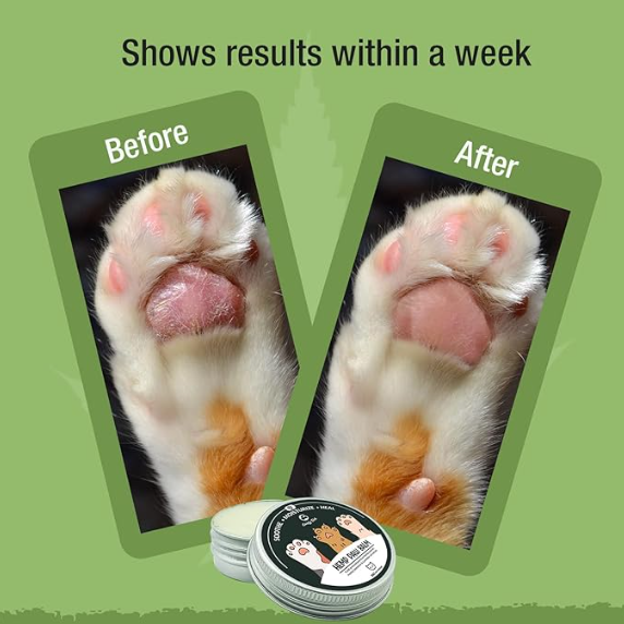 Goofy Tails Hemp Paw Cream for Cats 30g | All Natural Hemp Paw Balm for Cats and Kittens | Protects, Soothes and Moisturizes Chapped Paws | Enriched with Beeswax, Essential Oils & Aromas