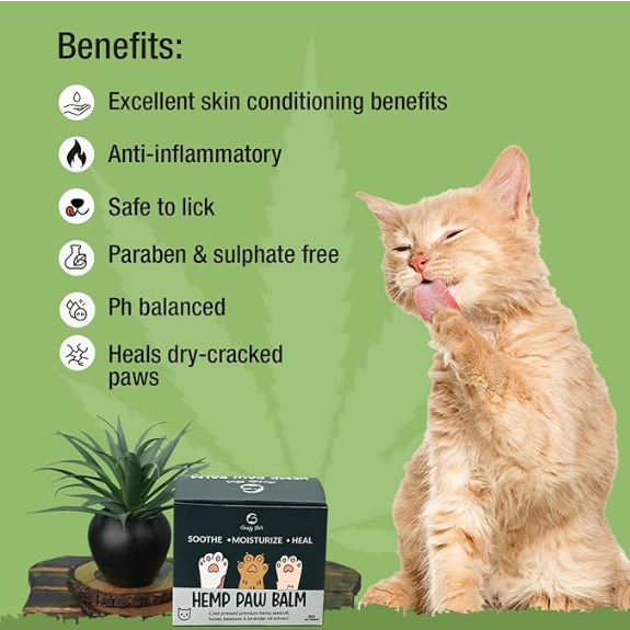 Goofy Tails Hemp Paw Cream for Cats 30g | All Natural Hemp Paw Balm for Cats and Kittens | Protects, Soothes and Moisturizes Chapped Paws | Enriched with Beeswax, Essential Oils & Aromas