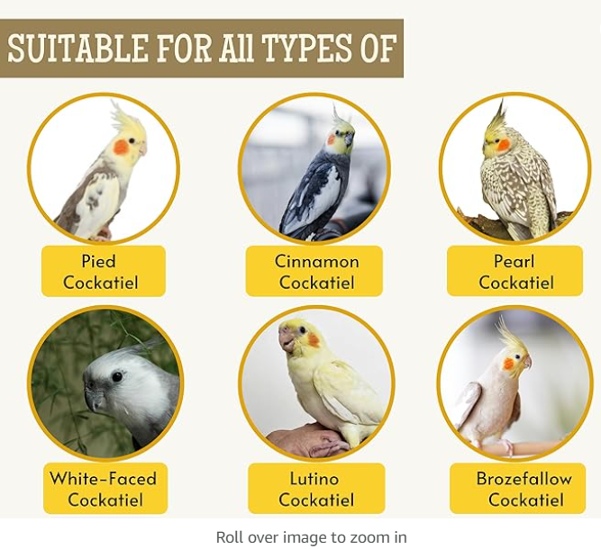 Foodie Puppies Bird Food for Cockatiels - 1Kg | Natural and Healthy Premium Mix Seeds, Kangni, Sunflower, Yellow Proso, Browntop, Oats, Pearls | Daily Birds Food Seeds for All Life Stages