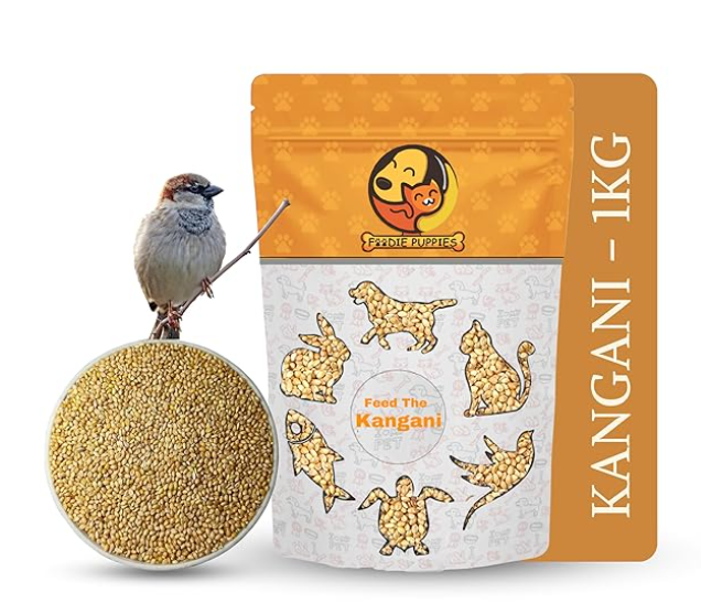 Foodie Puppies Foxtail Millet Kangni Seeds Bird Food - (1Kg, Pouch), High-Fiber Balanced Nutritious Daily Diet & Suitable for Canary, Finch, Waxbill, Budgies, Lovebird, Cockatiel, Parrot & Parakeet