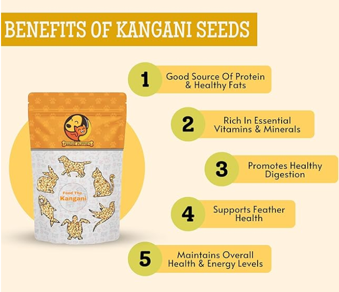 Foodie Puppies Foxtail Millet Kangni Seeds Bird Food - (1Kg, Pouch), High-Fiber Balanced Nutritious Daily Diet & Suitable for Canary, Finch, Waxbill, Budgies, Lovebird, Cockatiel, Parrot & Parakeet