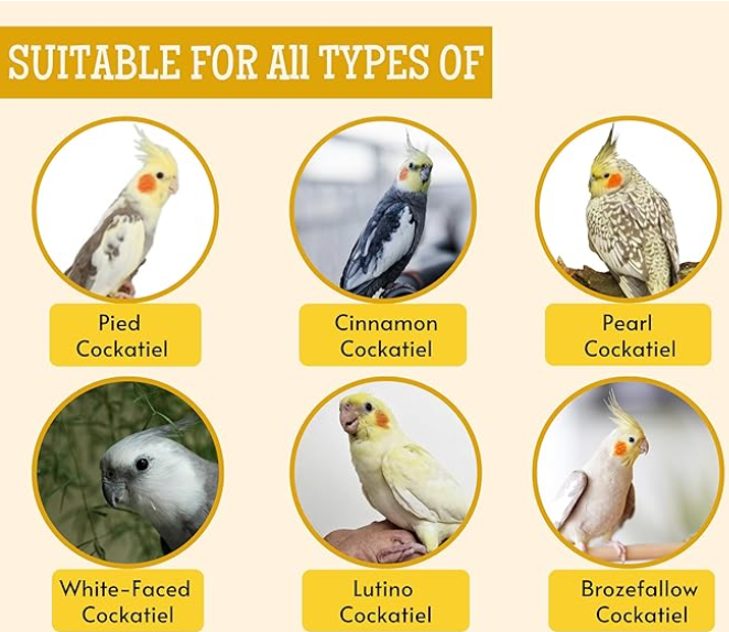 Foodie Puppies Bird Food for Cockatiels - (1kg, Pouch) | Natural and Healthy Premium Mix Seeds, Kangni, Yellow Proso, Browntop, Sunflower, Oats, Pearls | Daily Birds Food Seeds for All Life Stages