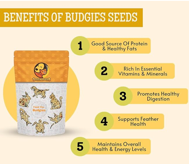 Foodie Puppies Bird Food for Budgies - (1Kg, Pouch) | Natural & Healthy Premium Mix Seeds, Canary, Yellow Proso, Sunflower, Browntop, Pearl, Oats & Niger