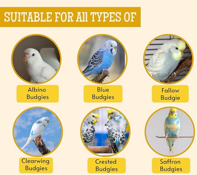 Foodie Puppies Bird Food for Budgies - (1Kg, Pouch) | Natural & Healthy Premium Mix Seeds, Canary, Yellow Proso, Sunflower, Browntop, Pearl, Oats & Niger