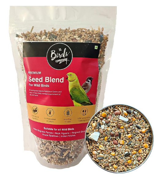The Birds Company Premium Seed Blend of 9 Grains & Nuts, Bird Feeder Food Refill, Mix Seeds for Outside Wild Birds, Indian Parrot, Sparrow, Doves, 450 g
