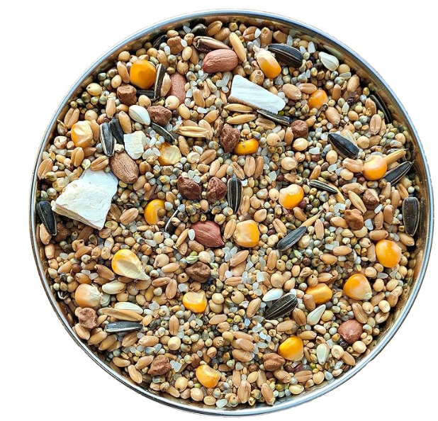 The Birds Company Premium Seed Blend of 9 Grains & Nuts, Bird Feeder Food Refill, Mix Seeds for Outside Wild Birds, Indian Parrot, Sparrow, Doves, 450 g