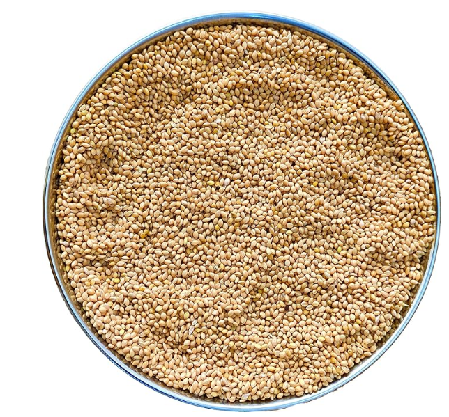 The Birds Company Foxtail Millet (Kangni), Bird Food for All Life Stages Canary, Finches, Waxbills, Budgies, Lovebirds, Cockatiels, Parrots & Parakeets, 450 g