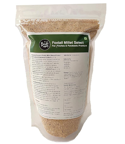 The Birds Company Foxtail Millet (Kangni), Bird Food for All Life Stages Canary, Finches, Waxbills, Budgies, Lovebirds, Cockatiels, Parrots & Parakeets, 450 g