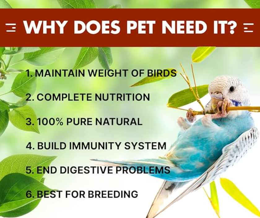 Boltz Bird Food for Budgies - 1.2 kg | Natural & Healthy Premium Mix Seeds, | Daily Bird Budgies Food Seeds| All Life Stages