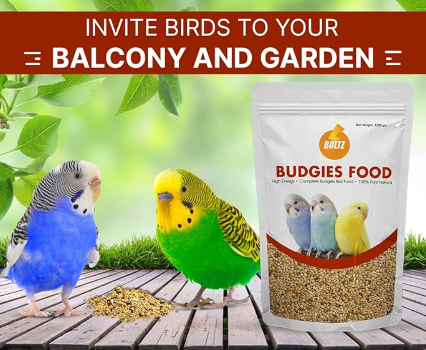 Boltz Bird Food for Budgies - 1.2 kg | Natural & Healthy Premium Mix Seeds, | Daily Bird Budgies Food Seeds| All Life Stages