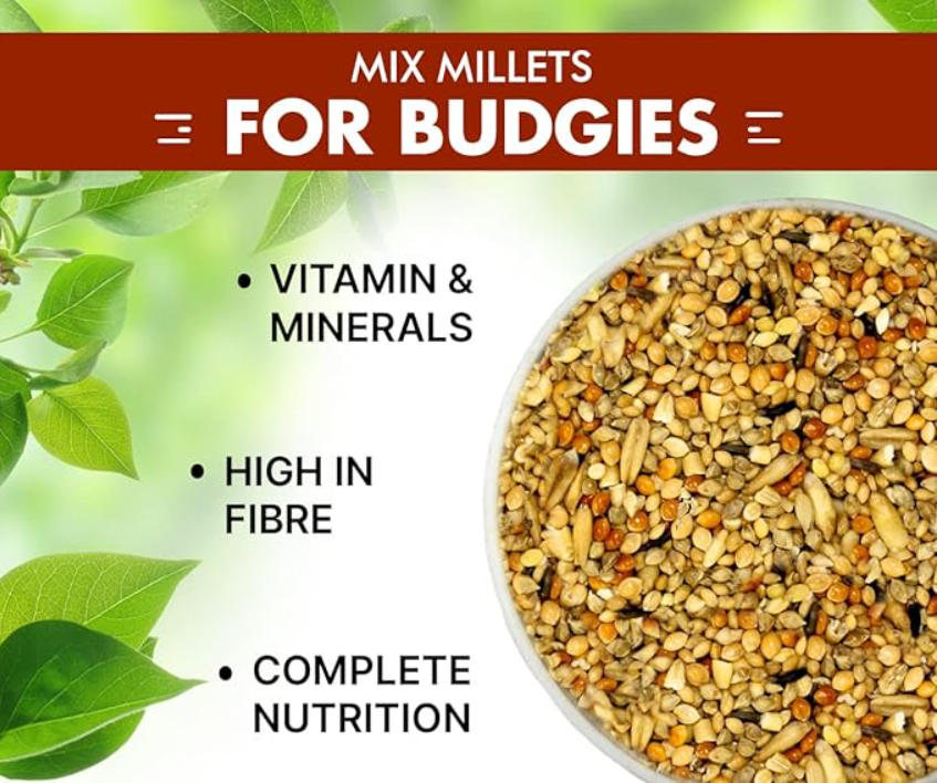 Boltz Bird Food for Budgies - 1.2 kg | Natural & Healthy Premium Mix Seeds, | Daily Bird Budgies Food Seeds| All Life Stages
