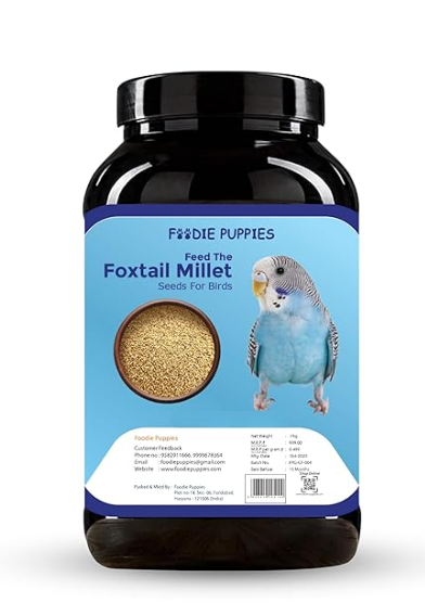 Foodie Puppies Foxtail Millet Kangni Seeds Bird Food - 1Kg, Suitable for All Types of Canaries, Finches, Waxbills, Budgies, Lovebirds, Cockatiels, Parrots & Parakeets
