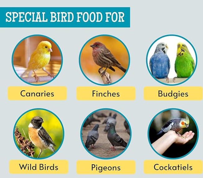 Foodie Puppies Foxtail Millet Kangni Seeds Bird Food - 1Kg, Suitable for All Types of Canaries, Finches, Waxbills, Budgies, Lovebirds, Cockatiels, Parrots & Parakeets