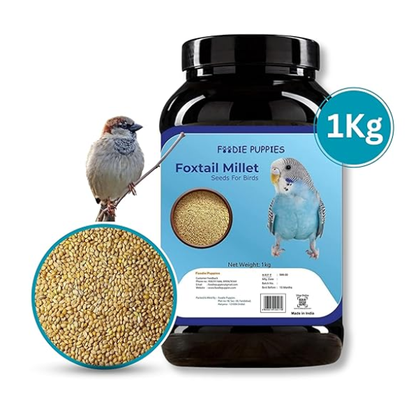 Foodie Puppies Foxtail Millet Kangni Seeds Bird Food - 1Kg, Suitable for All Types of Canaries, Finches, Waxbills, Budgies, Lovebirds, Cockatiels, Parrots & Parakeets
