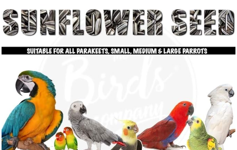 The Birds Company Striped Sunflower Seed with Spirulina, Bird Food for Conures, Lovebirds, Cockatiels, African Grey, Macaws, Cockatoo, Parakeets & Parrots, 450 G