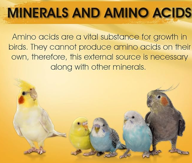 BOLTZ Immunity Booster for All Birds for Healthy Growth with Essential Vitamins, Minerals and Amino acids-100ml, transperent, Small