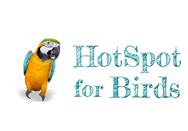 International (PCI) Vita-Boost to Provide Essential Vitamins for Healthy Bird Healthcare (100ml), 1 Piece