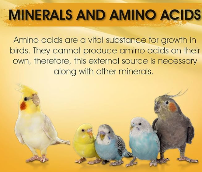 BOLTZ Immunity Booster for All Birds for Healthy Growth with Essential Vitamins, Minerals and Amino acids-100ml, transperent, Small