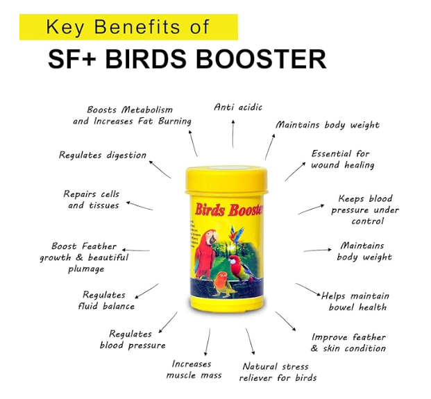 SF+ Bird Health Supplements Combo Packs (Pack of 5, Mini)
