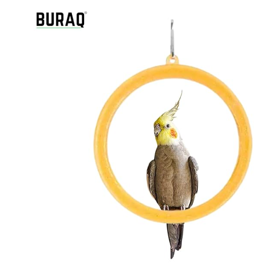 Buraq 3 Pcs Interactive Playful Bird Hanging Ring - for Hanging Swing | Holding | Chewing & Playing | Set Suitable for Love Birds | Budgies | Parrot | Cockatiel | Conure | Finches
