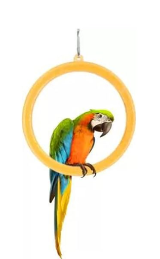 Buraq 3 Pcs Interactive Playful Bird Hanging Ring - for Hanging Swing | Holding | Chewing & Playing | Set Suitable for Love Birds | Budgies | Parrot | Cockatiel | Conure | Finches