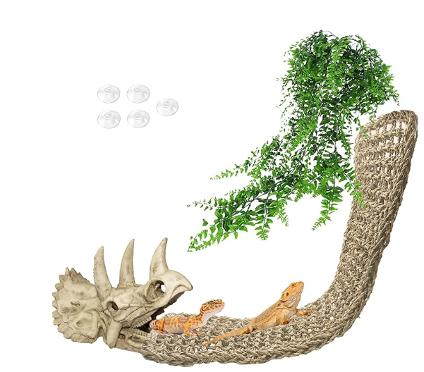 Tfwadmx Dinosaur Triceratops Skull Bearded Dragon Tank Accessories Reptiles Seagrass Habitat Hammock Hideout Cave for Lizard Chameleon Snake Spider Frog Gecko