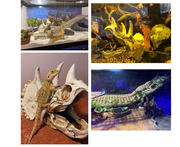 Tfwadmx Dinosaur Triceratops Skull Bearded Dragon Tank Accessories Reptiles Seagrass Habitat Hammock Hideout Cave for Lizard Chameleon Snake Spider Frog Gecko