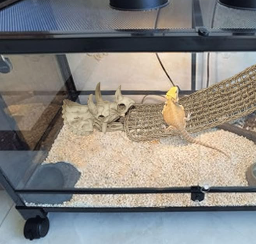 Tfwadmx Dinosaur Triceratops Skull Bearded Dragon Tank Accessories Reptiles Seagrass Habitat Hammock Hideout Cave for Lizard Chameleon Snake Spider Frog Gecko
