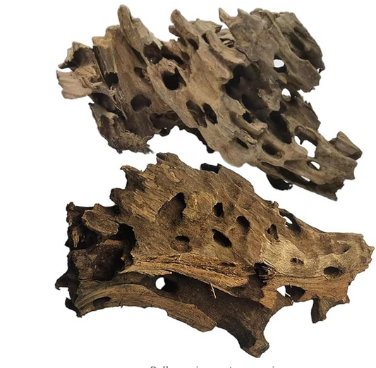 PINVNBY Natural Driftwood for Aquarium Large Reptile Terrarium Decor Decorations Assorted Branches Dearded Dragon Tank Accessories 2 Pack