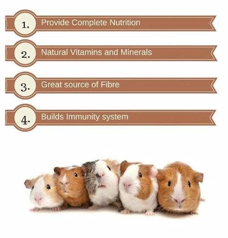 Vitapol Economic Small Animal Food for Hamster 1.2-kg