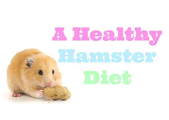 Pet Care International (PCI) Egg Food for Hamster, Sugar Glider, Hedgehog, Mice, Micro Squirrel to Provide Essential Vitamins, Minerals and Nutrients for Healthy PetCare (250grm)