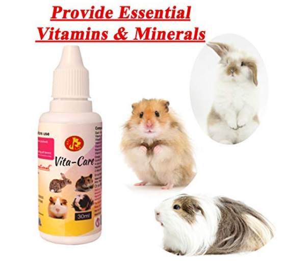 Pet Care International (PCI) Vita-Care Drop to Provide Essential Vitamin and Minerals for Healthy Hamster, Rabbit, Guinea Pig, Hedgehog, Sugar Glider etc Healthcare (Pack of 2) (30ml)