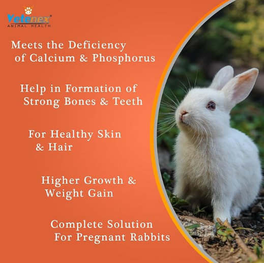 VETENEX Rabbit Cal - Calcium Tonic Supplement for Rabbit, Guinea Pig & Hamsters - 500 ML