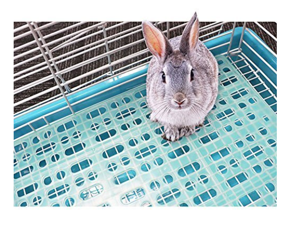 Comfortable Cage Floor Mat for Healthier Paw of Rabbit/Guinea Pig/Ferret/Cat/Kitten/Chinchilla (1 Piece)