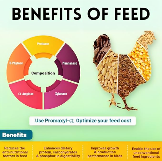 ets Pro Food for Hen Duck Chicks Teetar Batair Feed 1Kg Teetar Batair Premium Bird Food Grower Baby Chicken, Chicks, Pellet Feed (Hen, Duck, BATER, EMU & Other)
