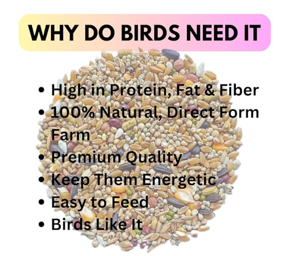 Pets Pro Pigeon, Dove & Hen Food (1KG) | Specially Food Mix with Multigrain & Seeds. Ingredients with 11+ Delicious Grains & Nuts for Hen & Doves.