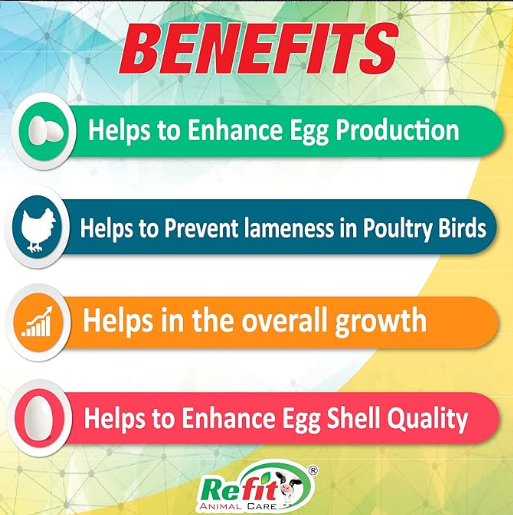 REFIT ANIMAL CARE Medicine Supplement for Lameness for Poultry, 1 LTR, Lam Tone