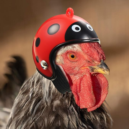 8 Pieces Chicken Helmet Pet Safety Helmet Funny Parrot Helmet Chicken Bird Hat Headwear Small Pet Hard Hat Pet Helmet Costumes Accessories for Chicken Hens Bird Parakeet Cockatiels