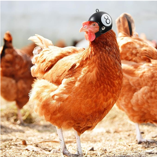 8 Pieces Chicken Helmet Pet Safety Helmet Funny Parrot Helmet Chicken Bird Hat Headwear Small Pet Hard Hat Pet Helmet Costumes Accessories for Chicken Hens Bird Parakeet Cockatiels