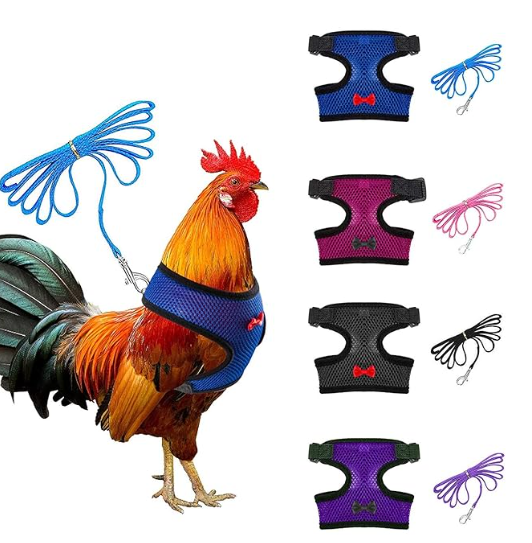 4 Pcs Adjustable Chicken Harness with Leash- 4 Styles Comfortable Hen Vest Breathable Mesh Training Harness and Leash for 2.5-3.6 Lb Duck Goose Hen Small Pets