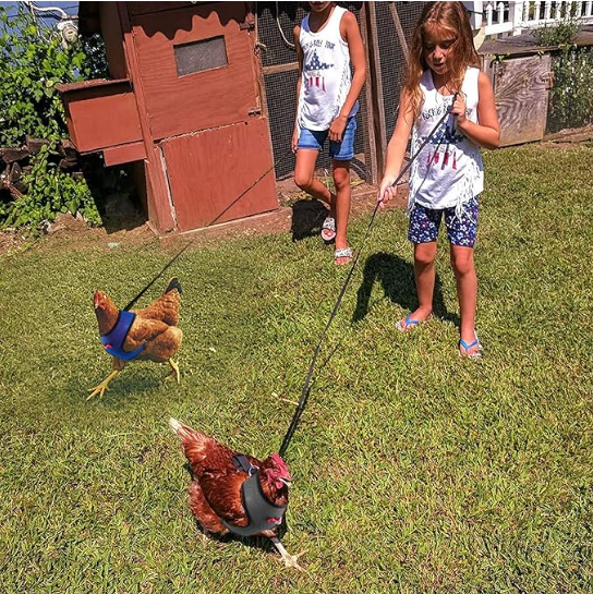 4 Pcs Adjustable Chicken Harness with Leash- 4 Styles Comfortable Hen Vest Breathable Mesh Training Harness and Leash for 2.5-3.6 Lb Duck Goose Hen Small Pets
